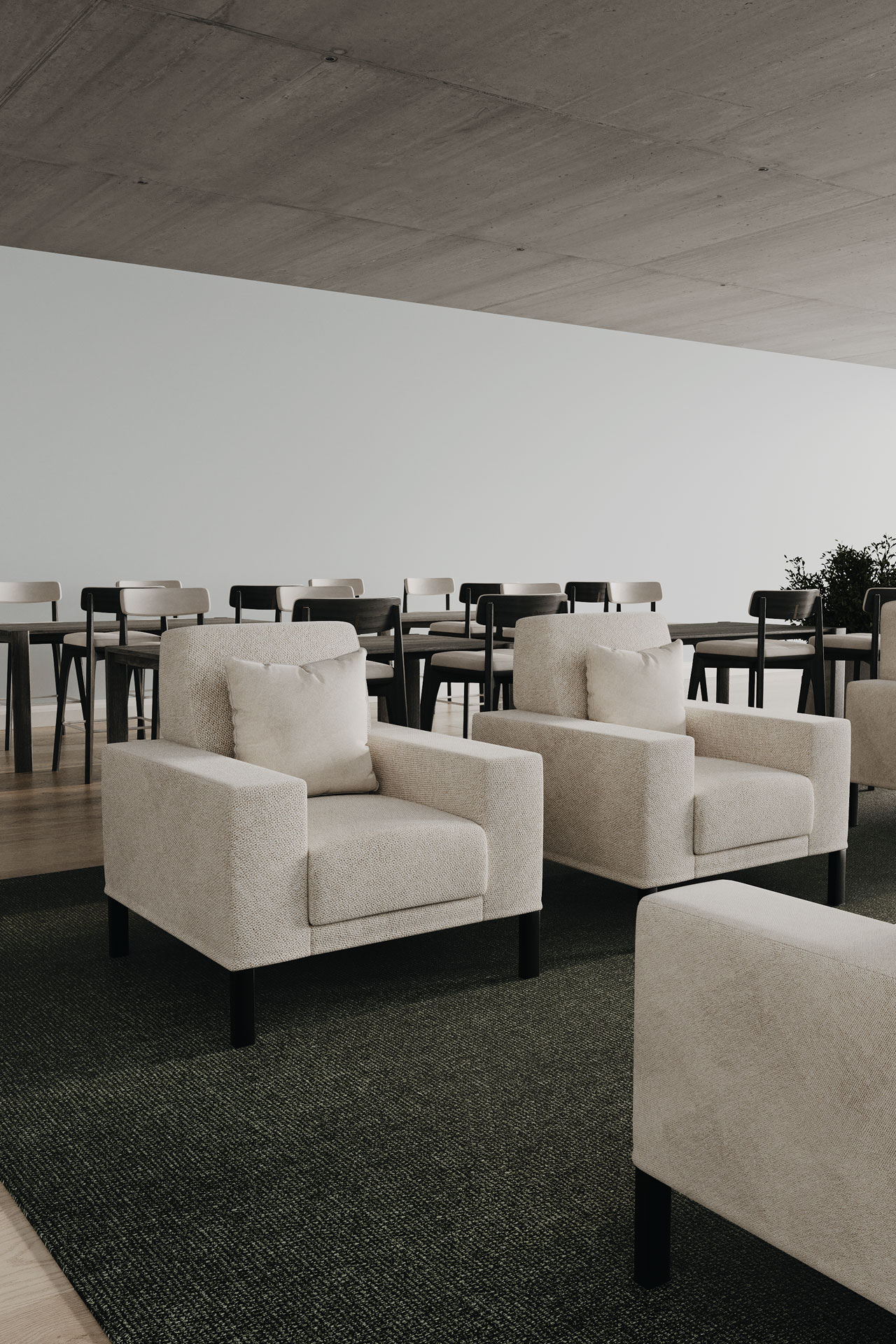 D.Cucciolo 1P - Bild 9