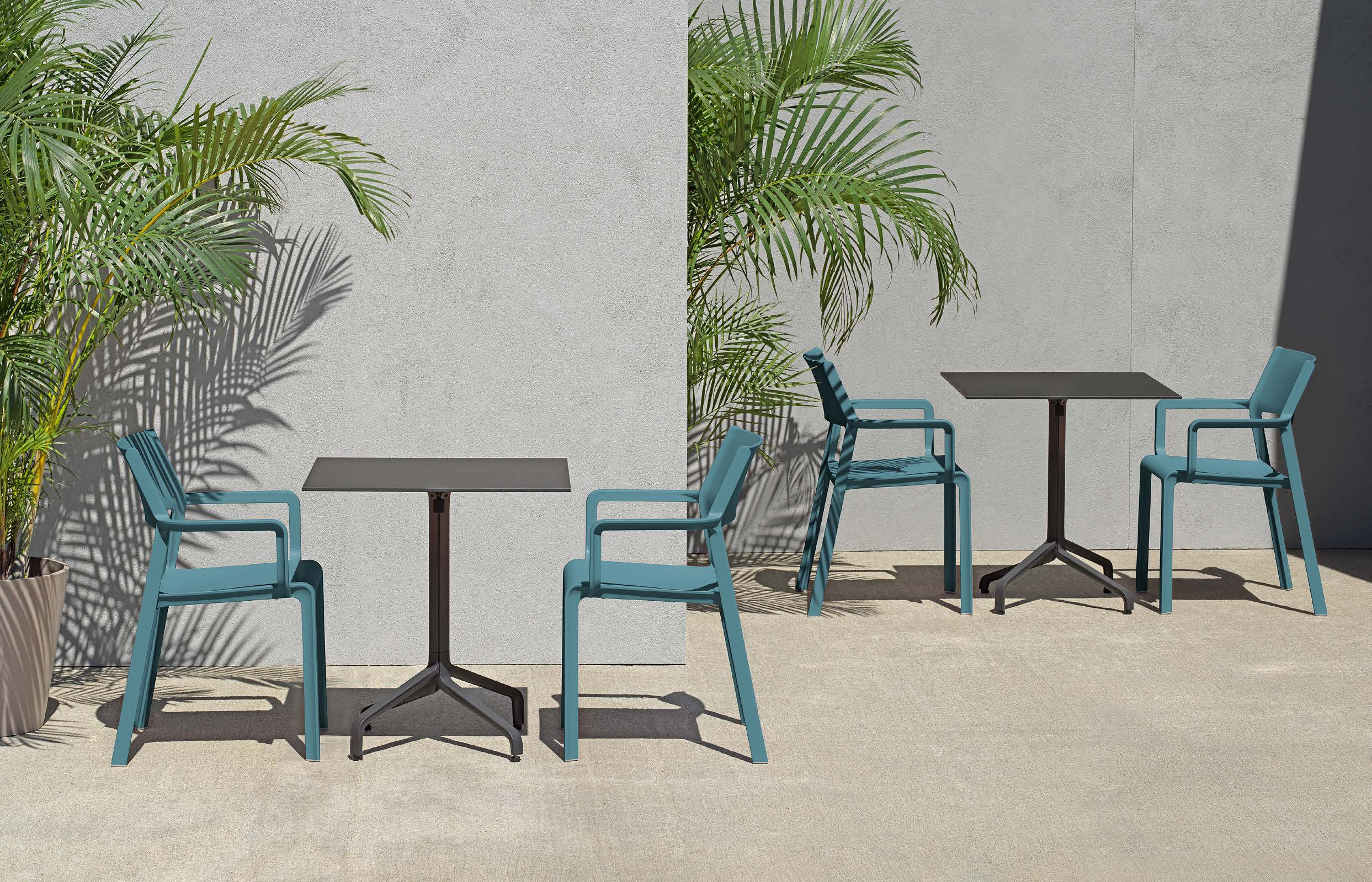 N.40250 Trill - Bild 9