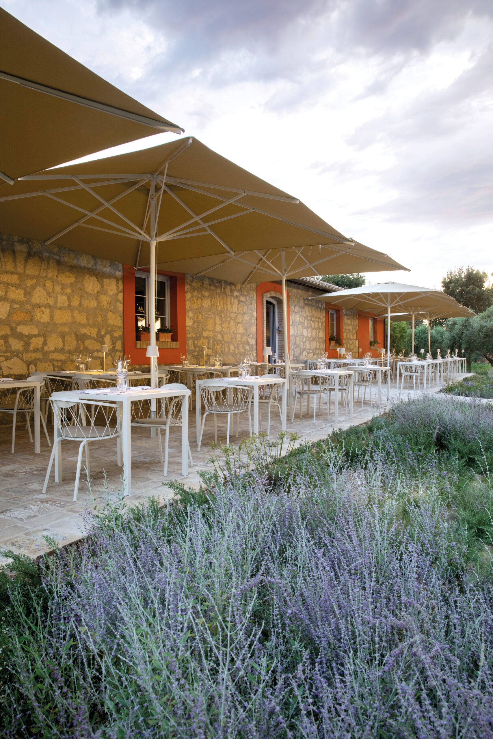 VE.DE301 Daisy - Bild 15