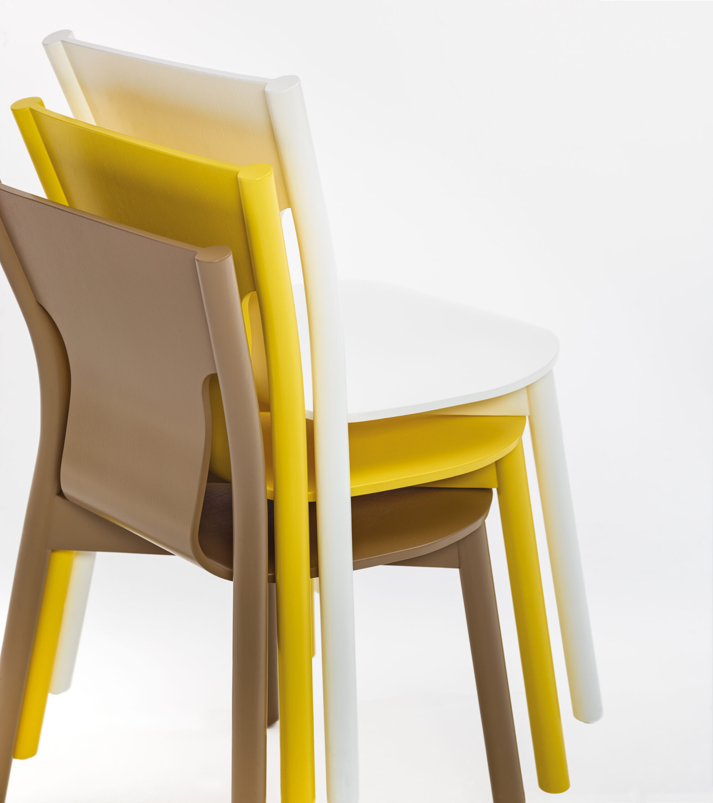 PL-2160A Tolo - Bild 4