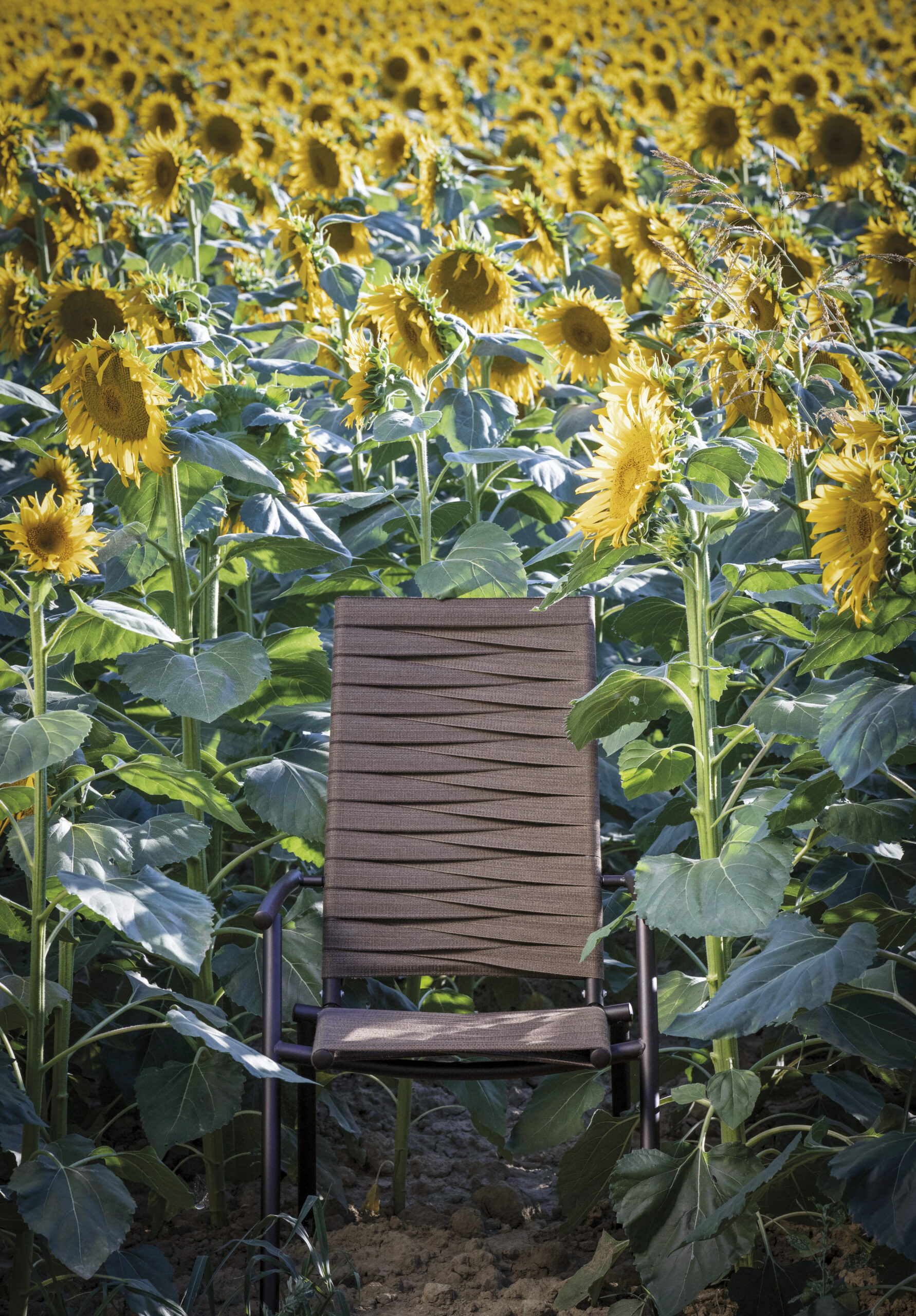 VE.VO50X Volée - Bild 4