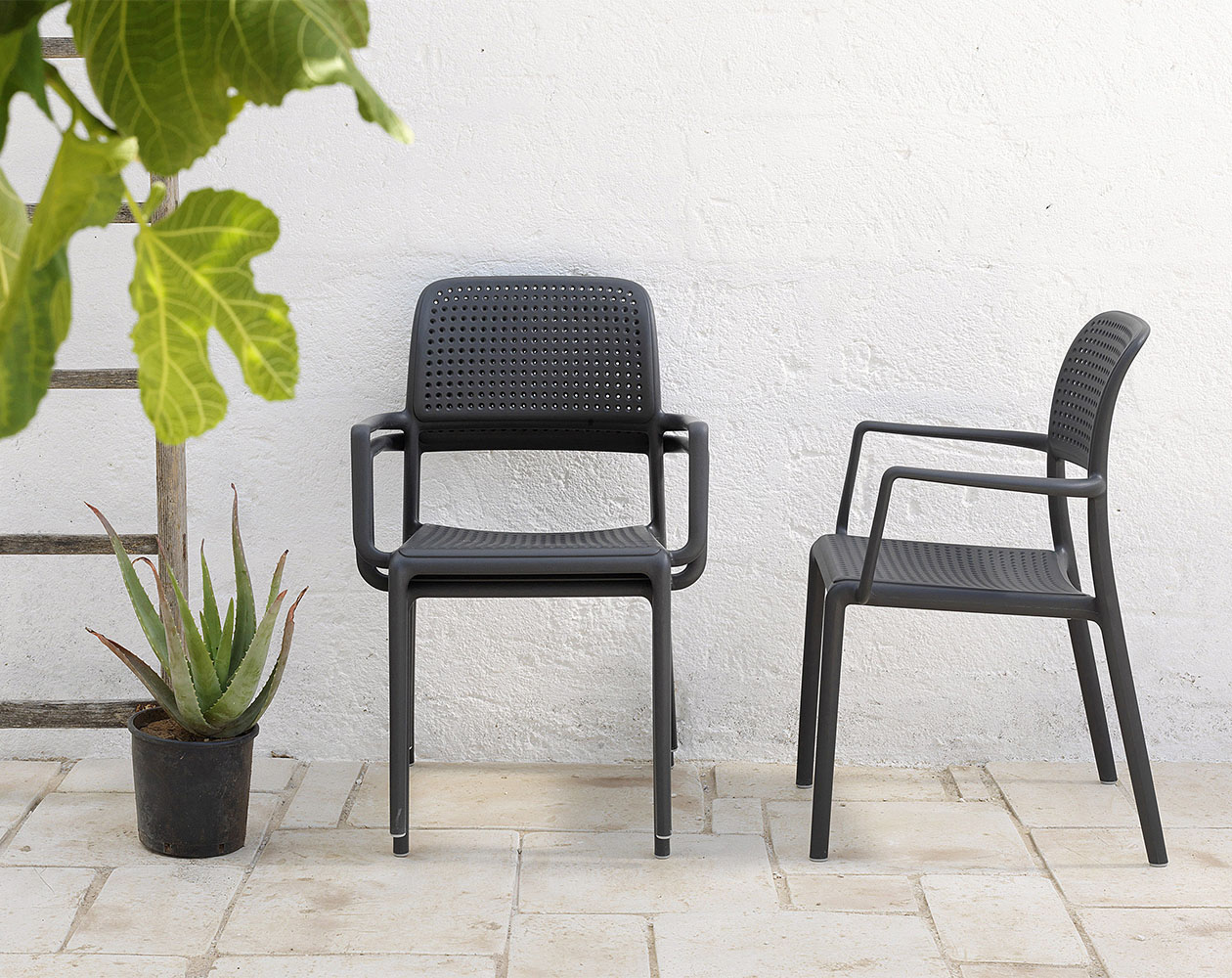 N.40242_02 Bora - Bild 8