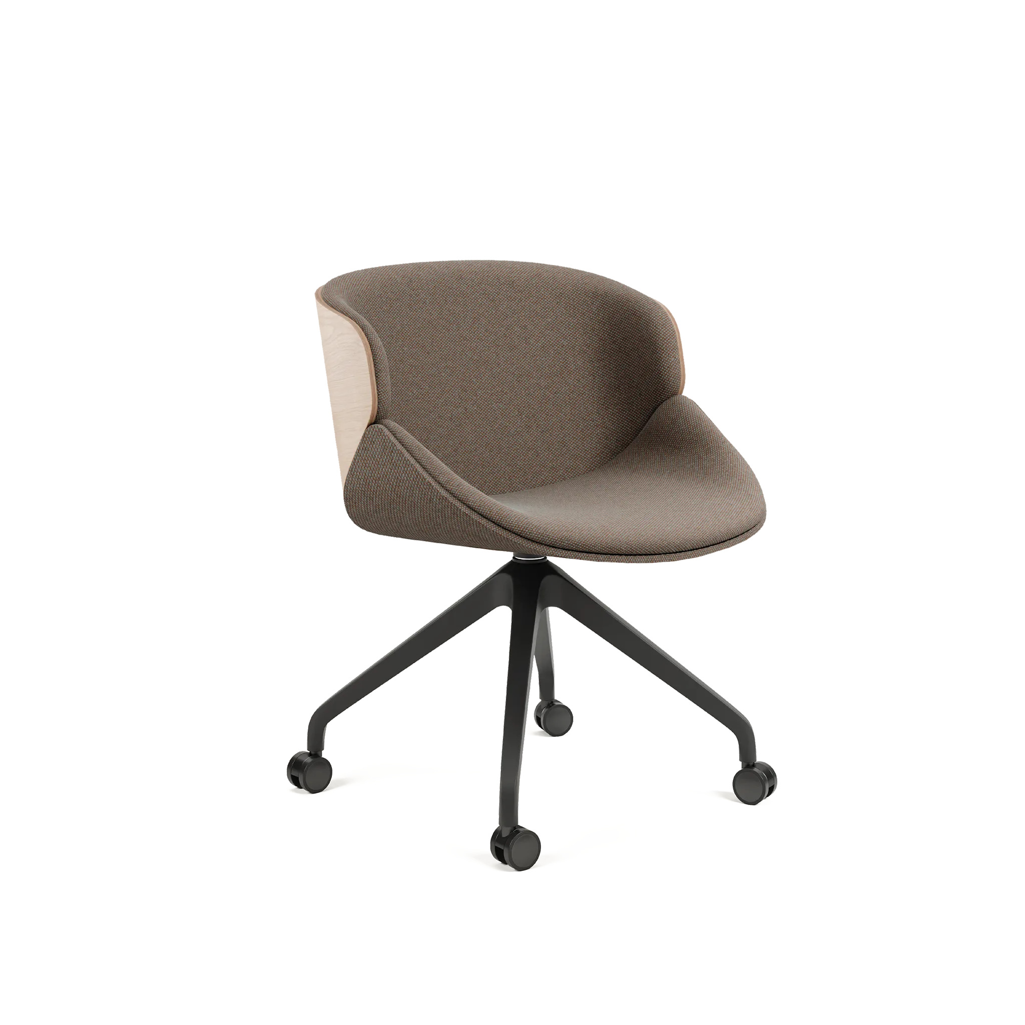 PL-5303B Aria W