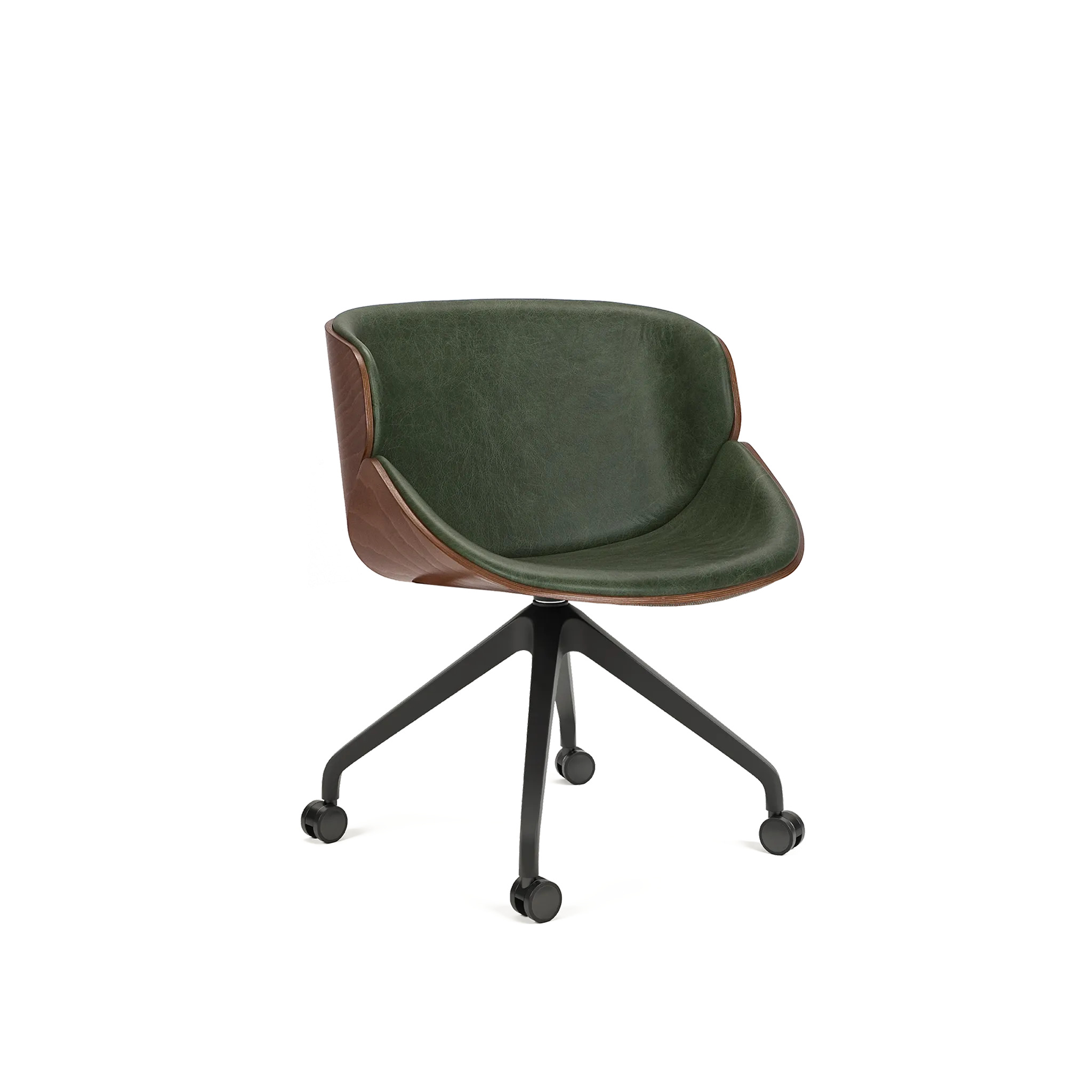 PL-5313B Aria W